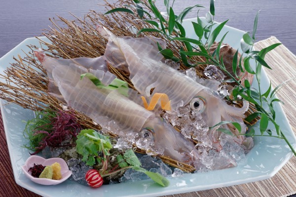 Live Yobuko Squid Sashimi
