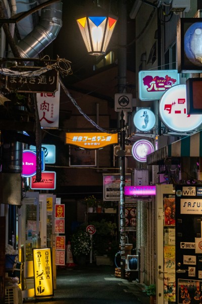 Shinjuku Golden Gai (新宿ゴールデン街)